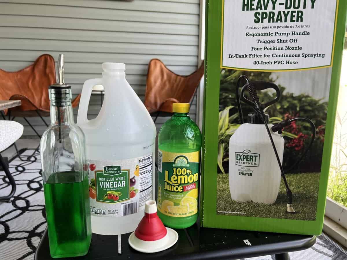 Easy Homemade Weed Killer Safe for Pets and Gardens - Build a Cozy Home