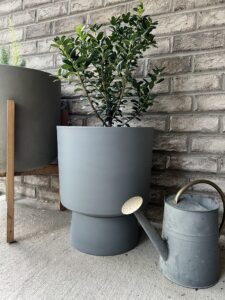How to make Easy DIY Lightweight Concrete Planters - Build a Cozy Home